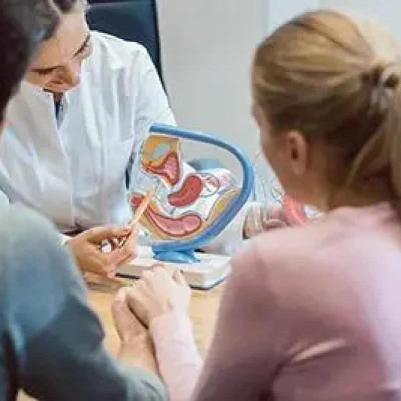 Infertility Evaluation